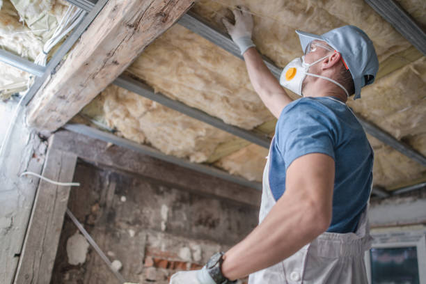 Best Types of Insulation in Belzoni, MS
