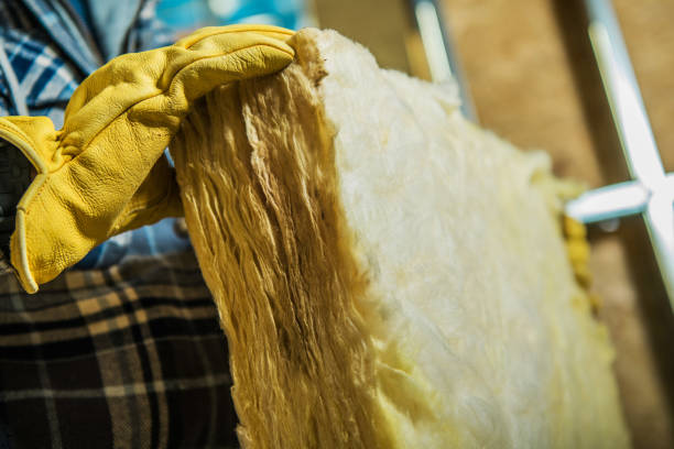 Best Specialty Insulation in Belzoni, MS